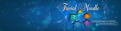 Trivial Moodle : un jeu pour (re)découvrir Moodle