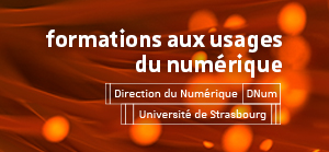 Les formations aux usages du numérique Les formations aux usages du numérique